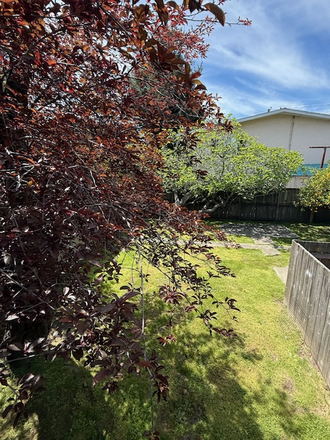 Huge Yard - Spaciouse home with hug yard