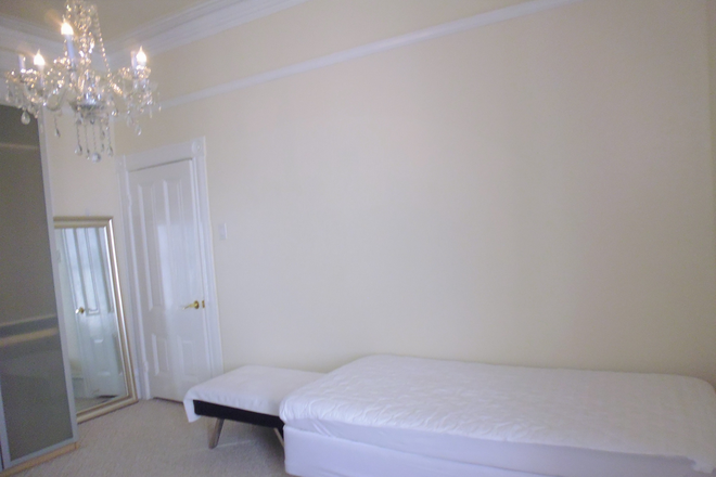 Comfortable and romantic to study - Next to USF Campus, Newly Remodeled, Beautiful Inside & Outside White House 2#2$1,495Included All