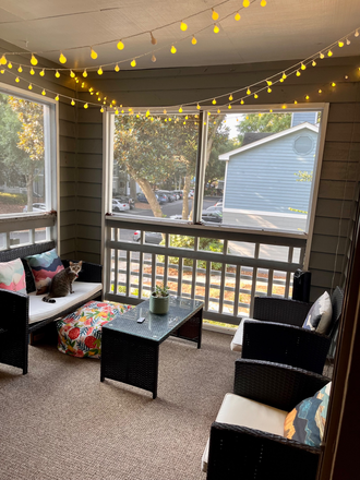 Porch + cat - Bed + bath available in 2B/2B apartment