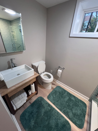 Private en suite bathroom - Brand new renovated 1 bedroom basement private unit House