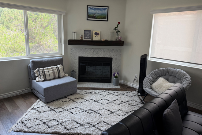 Living area with fireplace, chair, rug - Beautiful fully furnished 1bedroom condo in UTC area
