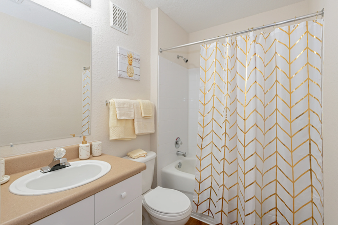 Private Bathroom - College Station Apartments