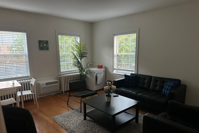 Living Room - Fully Furnished Spring Valley Apartments 2 Bedroom 1 Bathroom, 7 minute walk from campus
