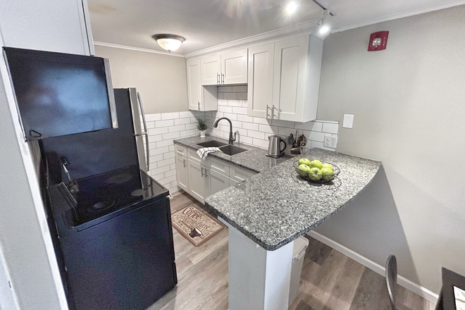 Premium unit kitchen - Spring, Summer, Fall 2025 Fully Furnished All Utilities Incl, On Busline, Clean! Apartments