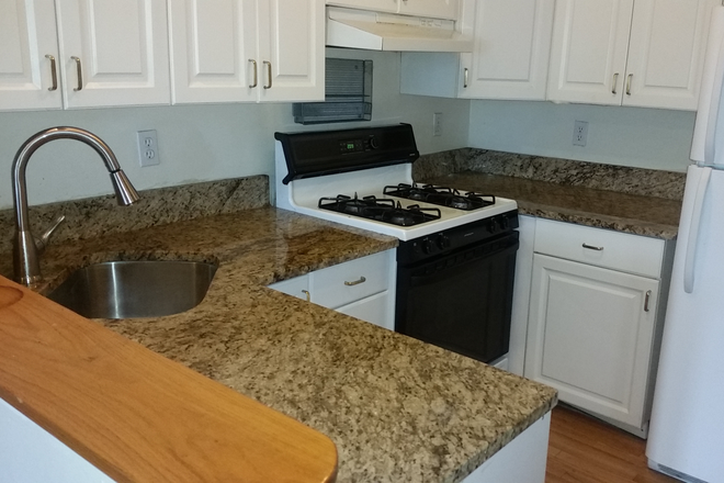 - - Steps to BU | Brookline Apartment on Saint Paul St