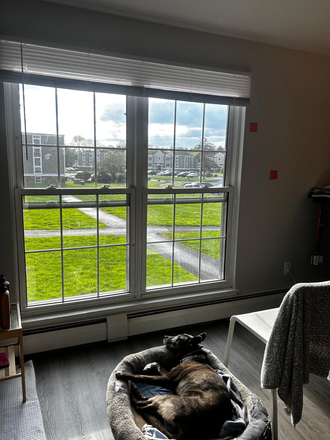 Plenty of natural light - The Boulders Apartments