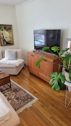 Living Room - 2 bedroom apt with parking, Beals Street, Coolidge Corner, Brookline 02446