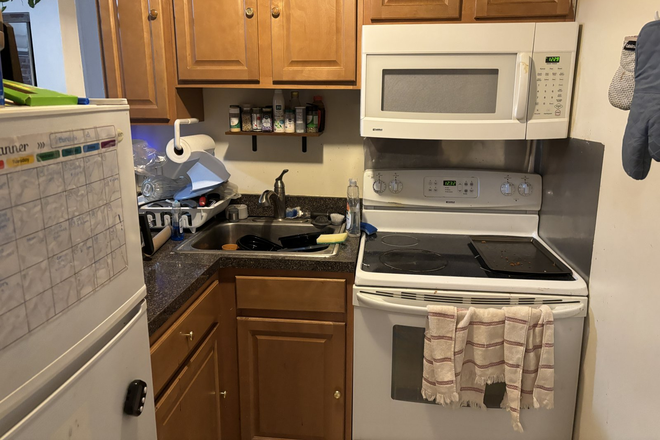 24 Haviland #BR - NO Broker's Fee - Avail 9/1- Renovated Basement 2 BR on Haviland St. Apartments