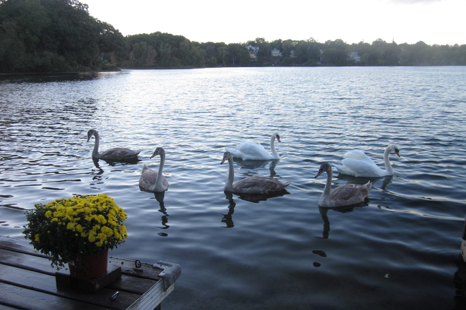 50 feet from front door - Waterfront Escape, minutes from the city! Apartments