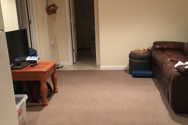 living room area - Sunny first floor apt 4 miles from SUH campus/hospital