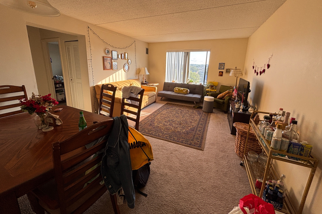 living room - Shared room available, Harbor Point January 1st Apartments