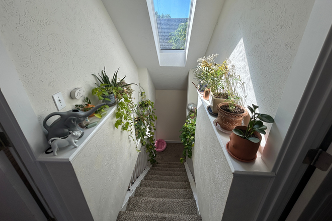 Stairwell - Spring Sublet near Pearl St. and Campus House