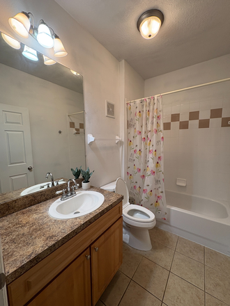 Bathroom - Campus View Condo