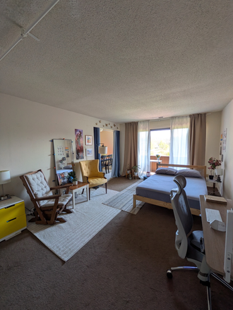 Reading chairs - Summer sublease - Private living room Apartments