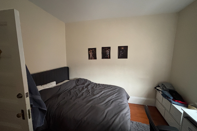 Room - Huge Brookline 3 bed 2 bathroom apartment