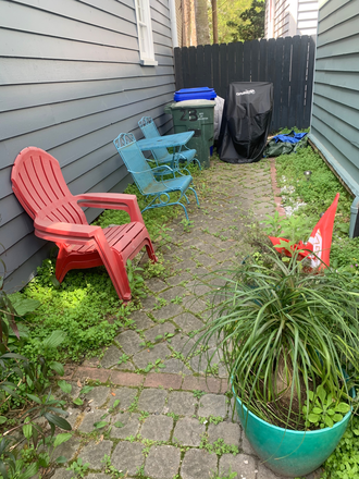 Patio (overgrown in this photo) - Rose Lane 2 Bedroom House