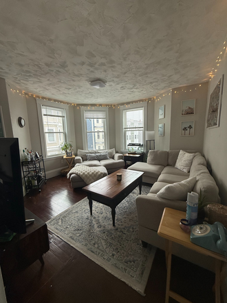Living Room - Female Sublet Private Bedroom in Mission Hill!