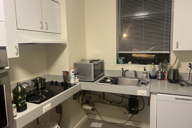 Kitchen - Botanic Gardens Apartments