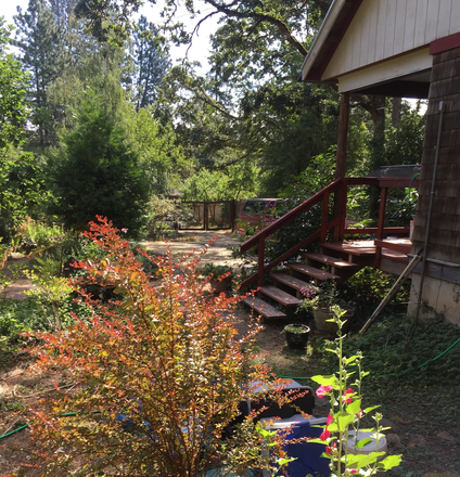 Stairs to Entry. View facing East, driveway & gate. - Cabin Atelier