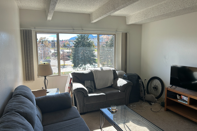 living room - 2 Person sublet 1100/month 1/8 mile from campus Apartments