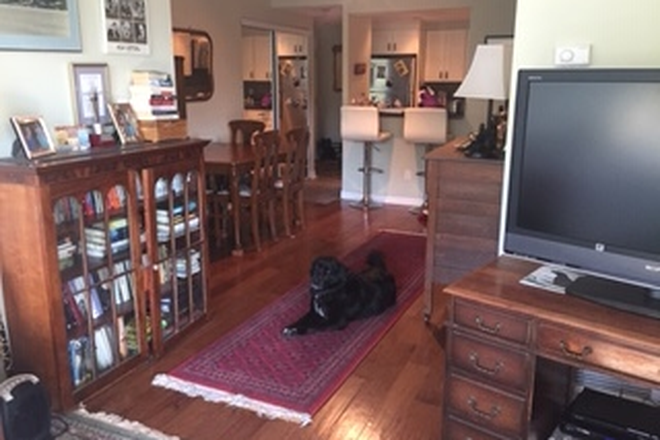 Living area - (Yonge Eglinton) Lovely bedroom & bathroom for rent two bedroom, two bathroom condo to share wi