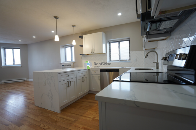 1 - Most Desirable Allston Village Renovated Apartments, Easy MBTA, Cat ok, Elevator!