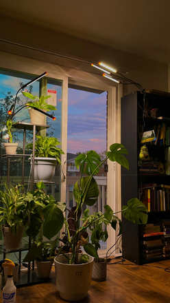 Balcony view - Launch Apartments, 1Bed 1 Bath, Sublease, (Pets Allowed)