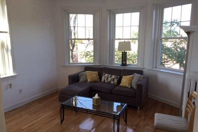 Living Room - Cleveland Circle Large 2 BR Condo, Eat in Kit Hardwood floors close to BC, off Comm Ave, NO FEES