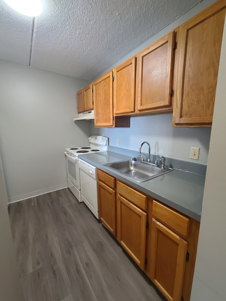 kitchen - *Lease Now Open Houses Available, Tour 2 Bedroom/2 Bathroom Next to Campus*