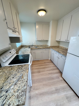 Kitchen - Apartment 1 block from Koret Center USF campus