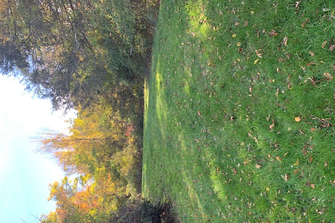 yard - 297 N. Egaleville rd. Storrs,  walking distance to campus