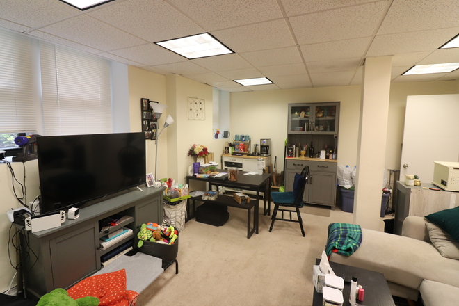 living room - Spacious Coolidge Corner 2 bed with private entrance - 9/1