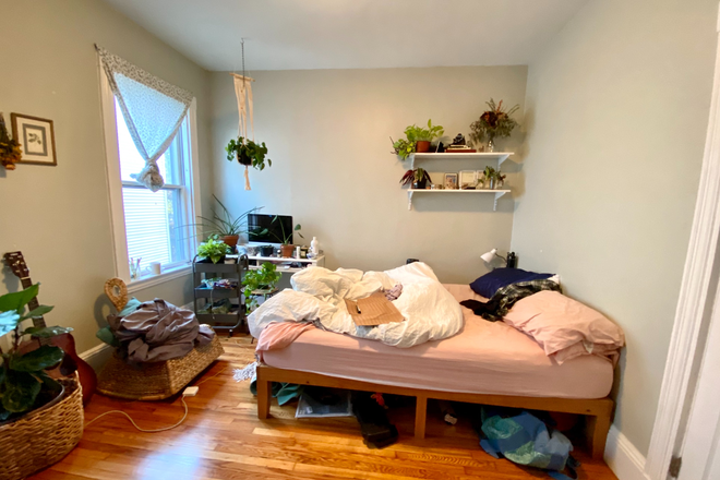 bedroom - gorgeous 4 bed/2 bath Apartments