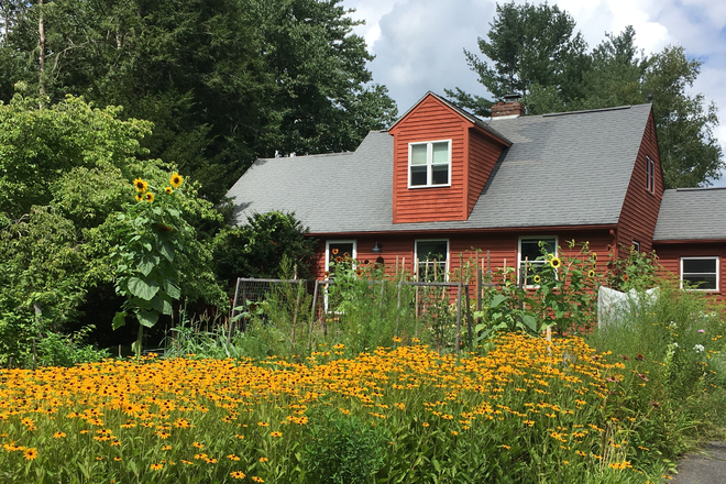 summer - Red House Farmlet - Furnished Wing of Home, South Amherst