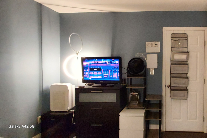 Air, purifier, mini fridge, lamp, tv with Roku, dresser, nightstand, space heater. - Non-Smoking Private Room in a queer owned SHARED house with dogs.