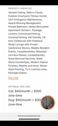 These are the amenities - Commons at Sawmill