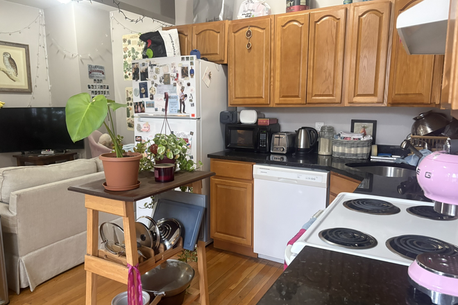 OPEN CONCEPT Living Room/Kitchen - NO FEE!!! HUGE BEDROOMS, MOMENTS FROM BABCOCK ST, ACROSS FROM STAR MARKET!