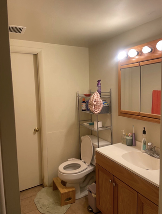 Shared Bathroom (with one other girl) - Nittany Gardens Apartments