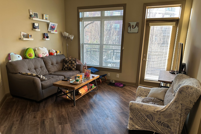 Living Room - Emory Point Apartment, looking for Roommate