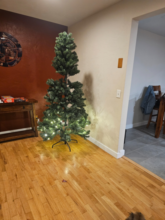 Living room - 1 Bedroom, furnished? shared bath, large yard, owner has pets House