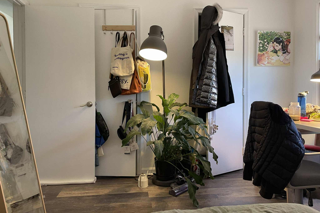 Bedroom - large closets in room for storage - Private Room Available: January 2026 - July 2026, possibility to renew lease House