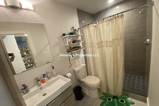 Bathroom 1 - Sublease Dudley st Apt, 20min direct bus ride to campus, modern amenities