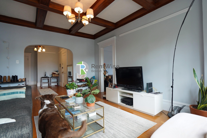 1 - SEP 2026-Gorgeous 2 Brookline 2 bed, W/D in Unit. No Fee! Apartments