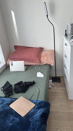 Inside the Den, with bed, chest of drawers - 1 furnished den available in 1+1 furnished apartment. Laundry + wifi included! Girls only