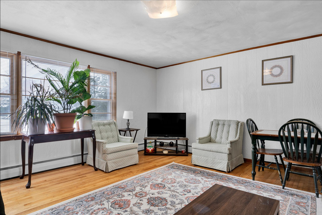 Living room - Private room for rent