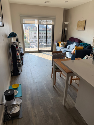 Living Room - Roommate needed in modern 2-bed-1-bath, Central Square, Jul 1 move-in Apartments