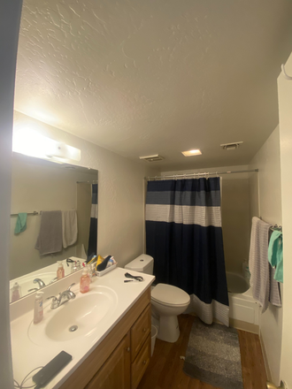 Bathroom - University Square (1 Roomate Needed) Apartments