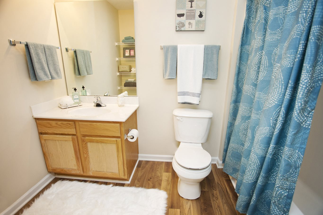 bathroom - Mountaineer Village Sublease