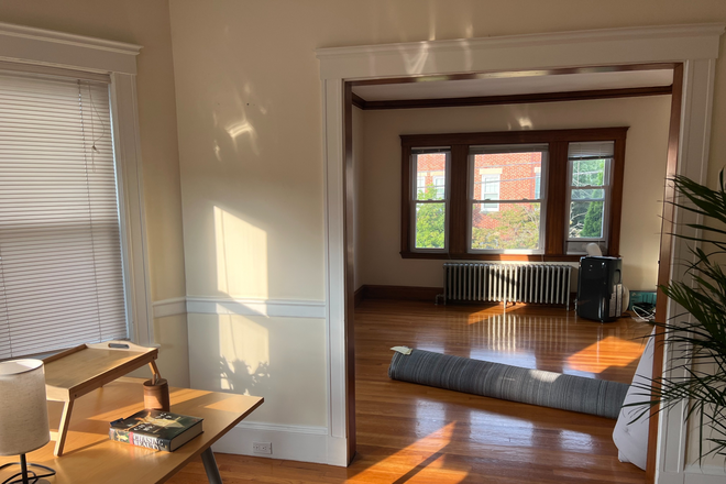 Living Room - NEW listing/no Fee. WALK to Harv Sq, Bright 2BR Apt, in Quiet 2-Fam House, w Living, Dining, Kitchen