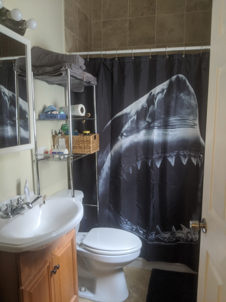 Photo - Great Shared Space for Students Looking to Make New Friends $1025-$1300 on Calumet Street Apartments